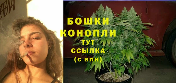 PSILOCYBIN Вяземский