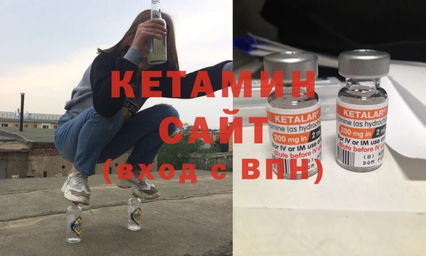 стаф Вязьма